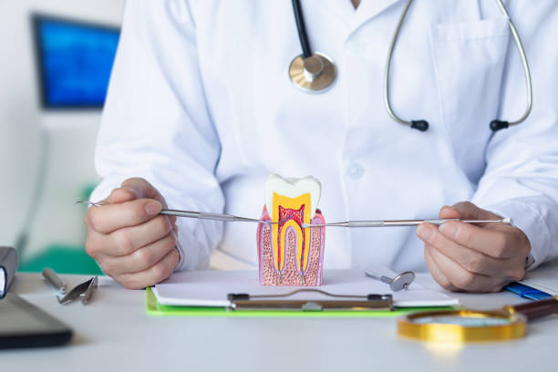 Best Emergency Root Canal Treatment in Seabrook Island, SC